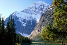 Cryptocurrency Market Analysis: The real story behind the numbers