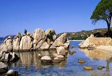 Cryptocurrency Market Analysis: The real story behind the numbers